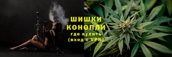 дживик Магас