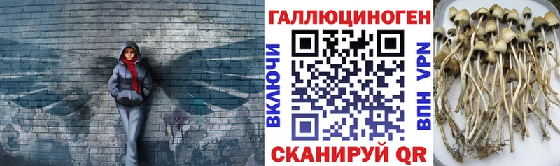 Псилоцибиновые грибы ЛСД  как найти   Малая Вишера 